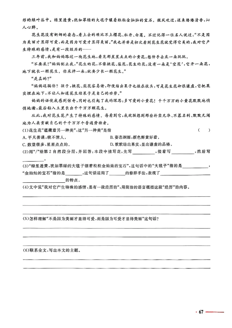 小升初语文《阳光同学冲刺48天》测评版_小升初冲刺48天（语数英）_小升初语文《阳光同学冲刺48天》