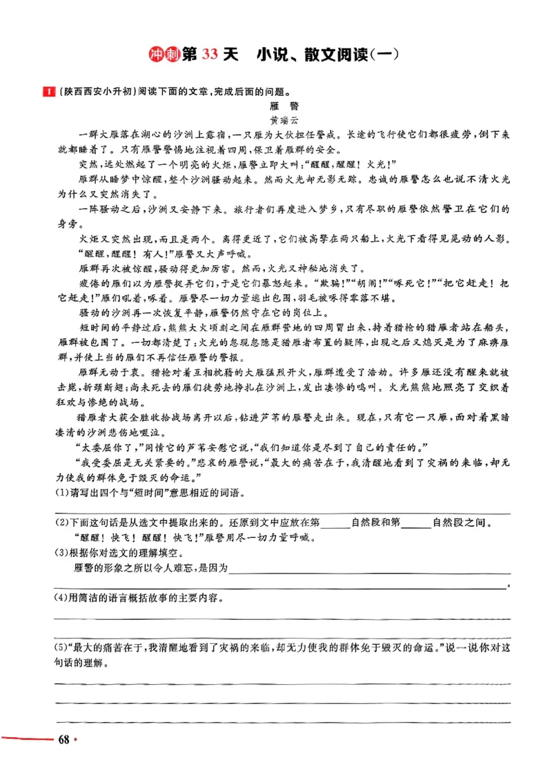 小升初语文《阳光同学冲刺48天》测评版_小升初冲刺48天（语数英）_小升初语文《阳光同学冲刺48天》