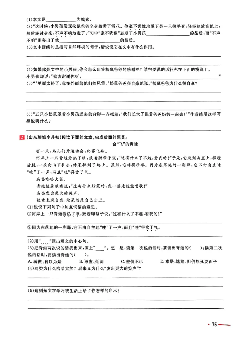 小升初语文《阳光同学冲刺48天》测评版_小升初冲刺48天（语数英）_小升初语文《阳光同学冲刺48天》