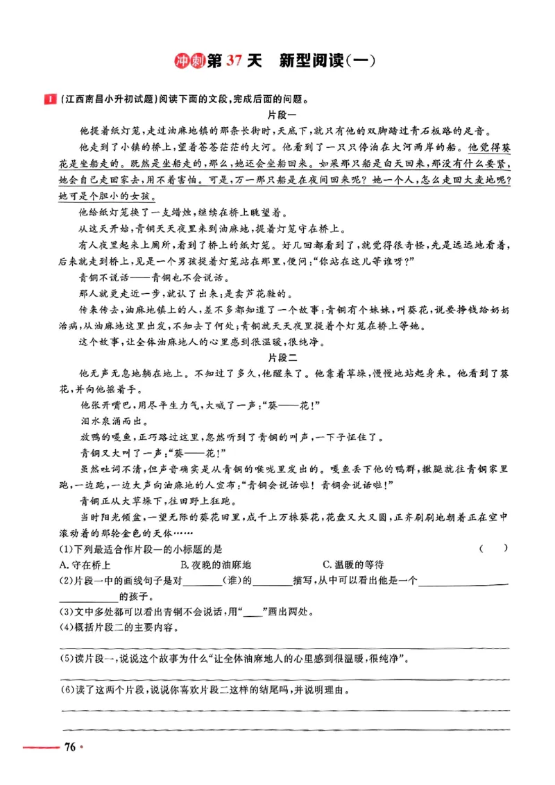 小升初语文《阳光同学冲刺48天》测评版_小升初冲刺48天（语数英）_小升初语文《阳光同学冲刺48天》