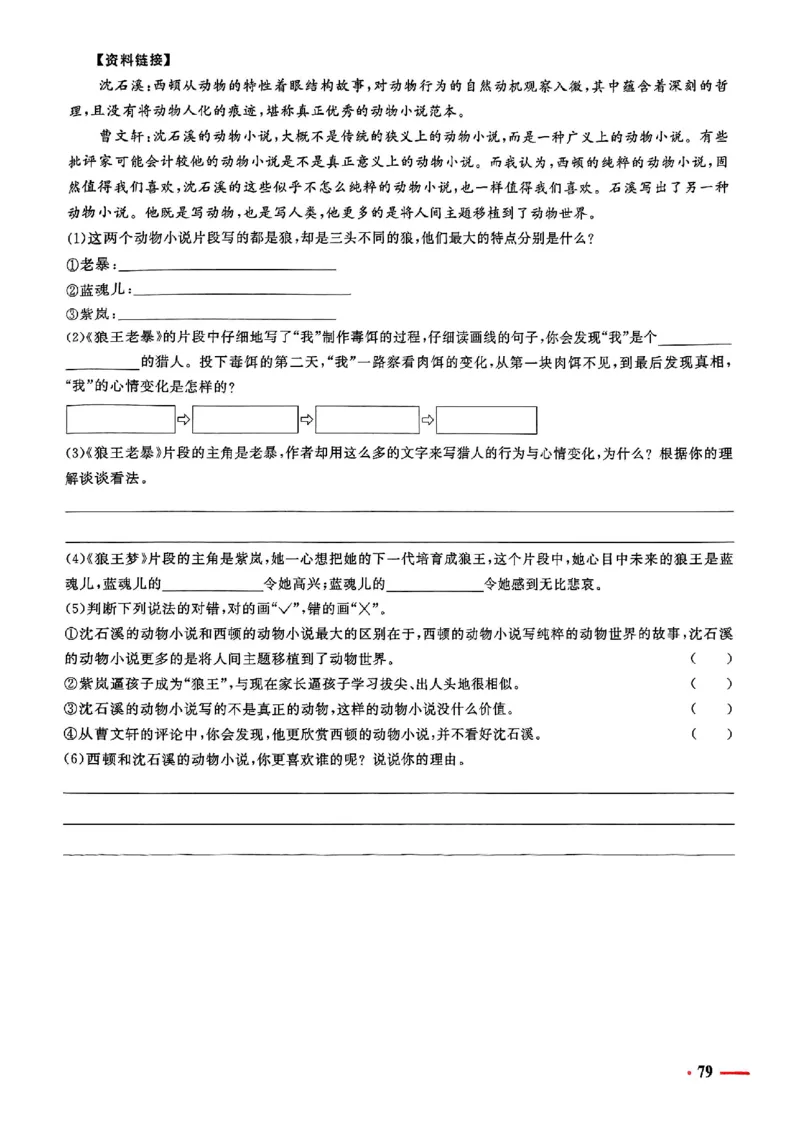 小升初语文《阳光同学冲刺48天》测评版_小升初冲刺48天（语数英）_小升初语文《阳光同学冲刺48天》