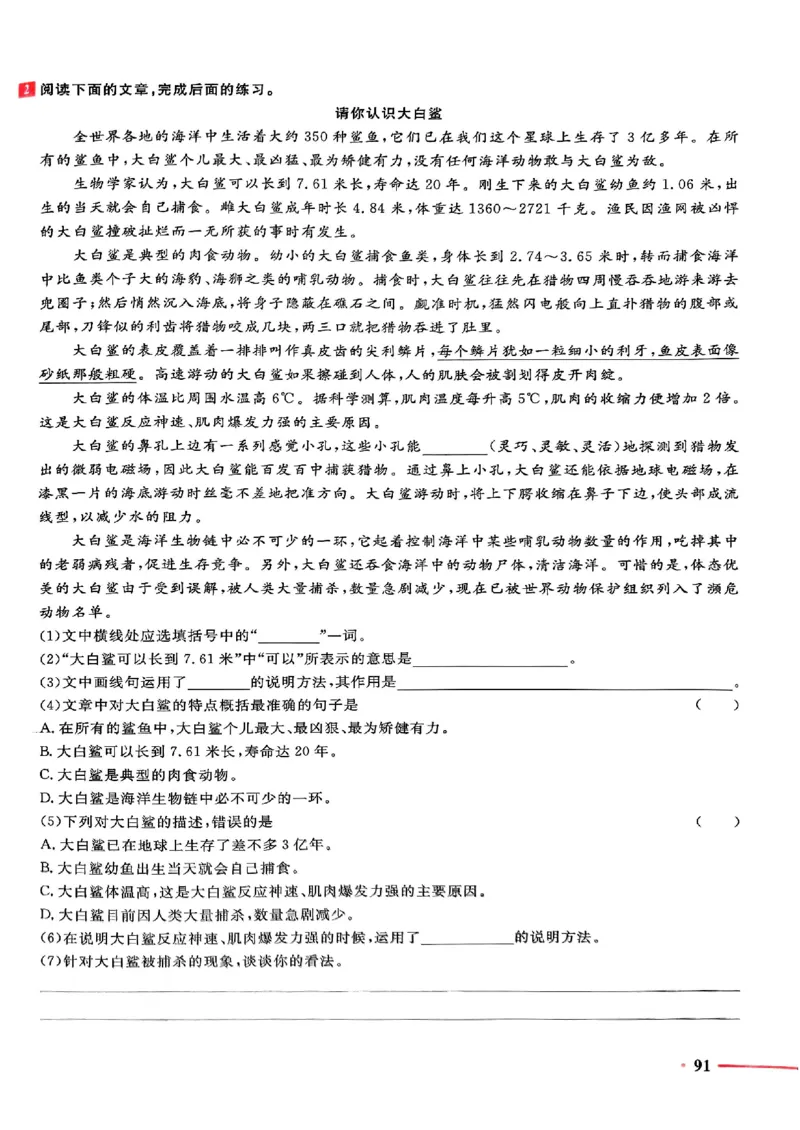 小升初语文《阳光同学冲刺48天》测评版_小升初冲刺48天（语数英）_小升初语文《阳光同学冲刺48天》