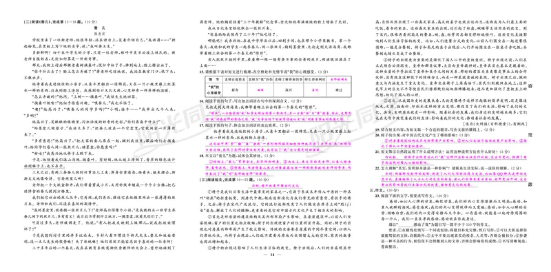 真题卷_小升初考点大全（语文英语）_语文《小升初考点大全》