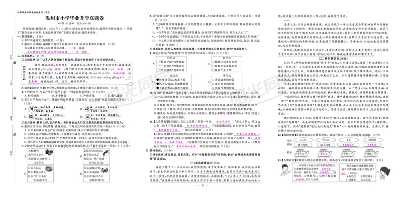 真题卷_小升初考点大全（语文英语）_语文《小升初考点大全》