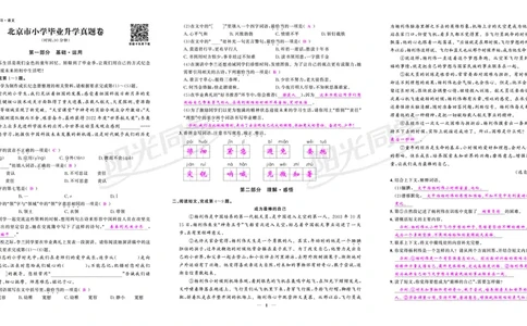 真题卷_小升初考点大全（语文英语）_语文《小升初考点大全》