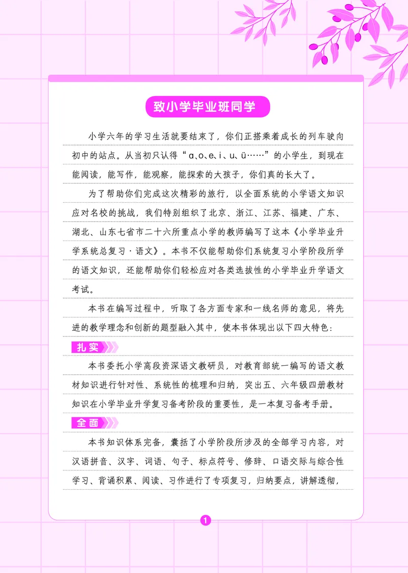 语文系统总复习考点大全_小升初考点大全（语文英语）_语文《小升初考点大全》