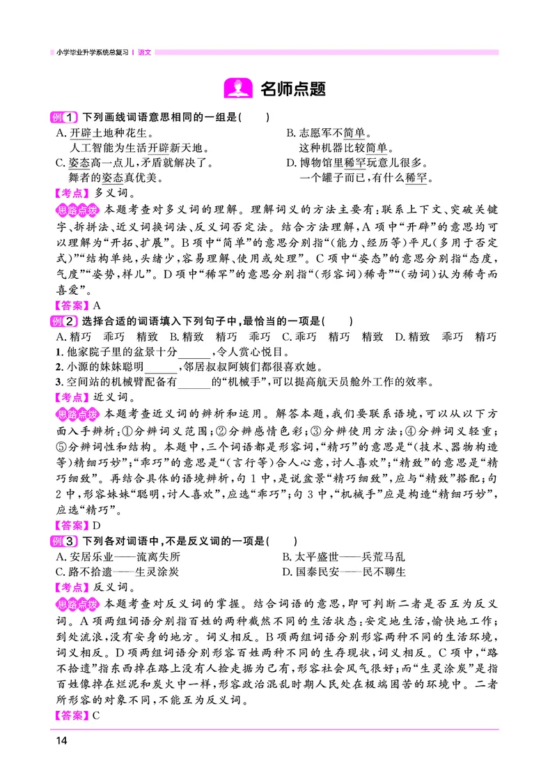 语文系统总复习考点大全_小升初考点大全（语文英语）_语文《小升初考点大全》