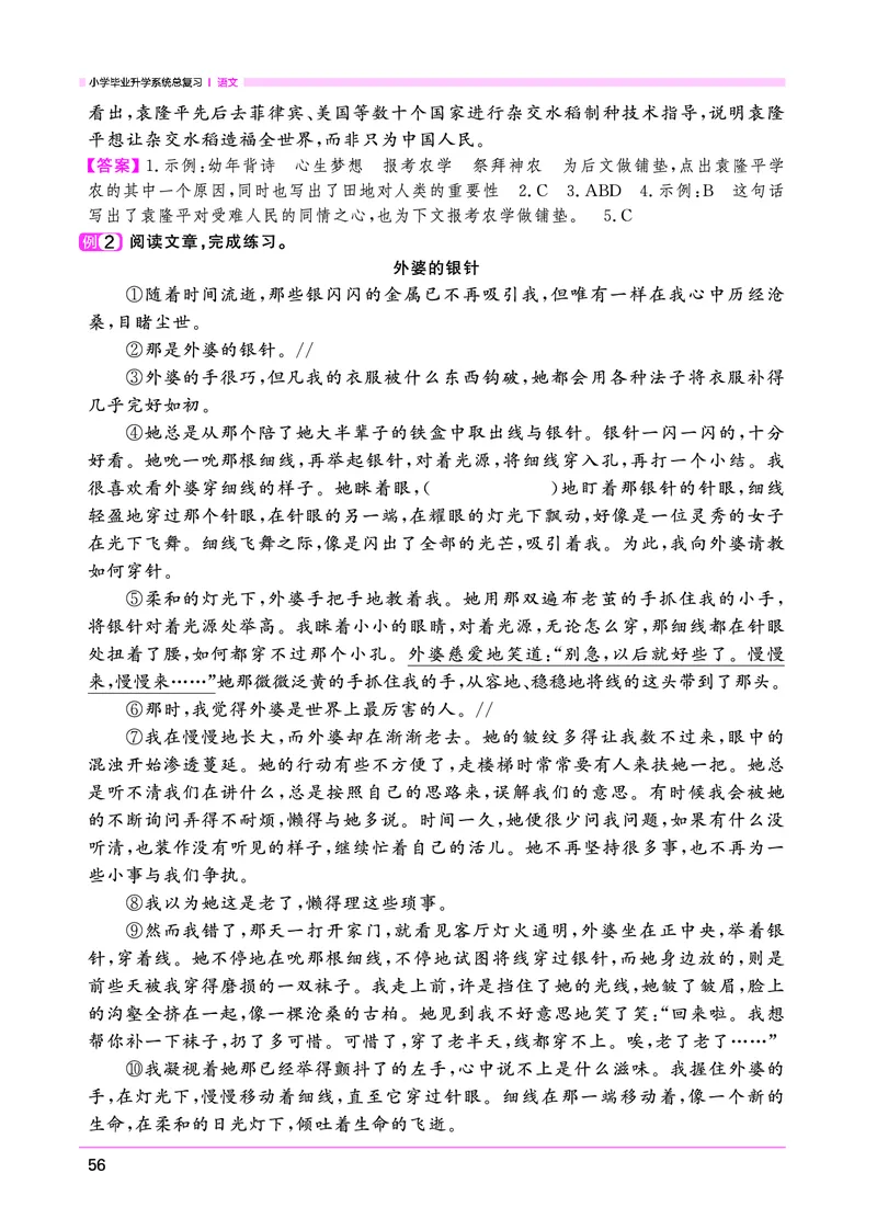 语文系统总复习考点大全_小升初考点大全（语文英语）_语文《小升初考点大全》