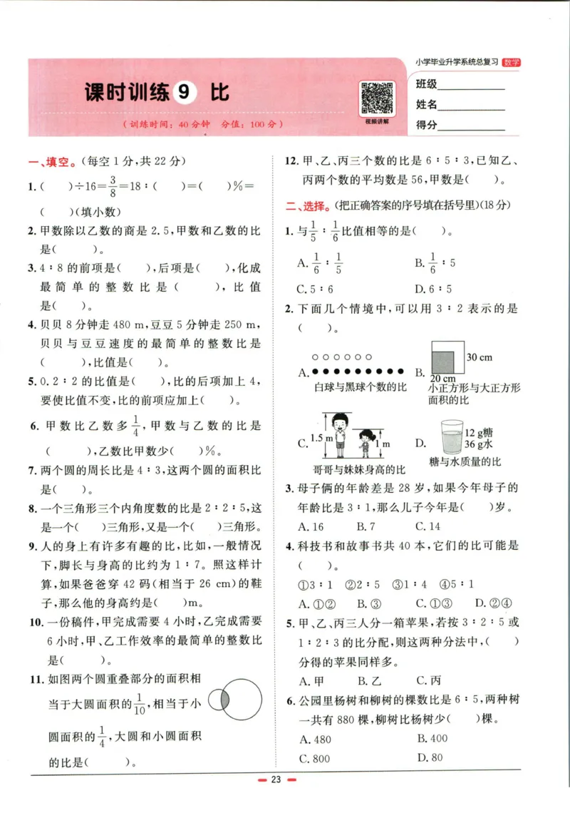 阳光同学小学毕业升学系统总复习活页专项训练数学_小升初活页专项训练（语数英科学）