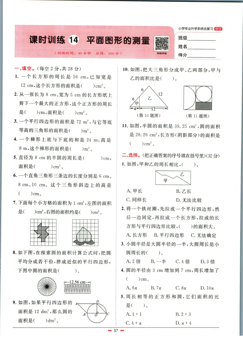 阳光同学小学毕业升学系统总复习活页专项训练数学_小升初活页专项训练（语数英科学）