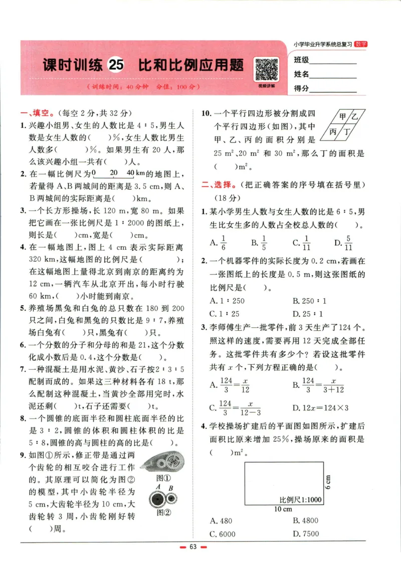 阳光同学小学毕业升学系统总复习活页专项训练数学_小升初活页专项训练（语数英科学）