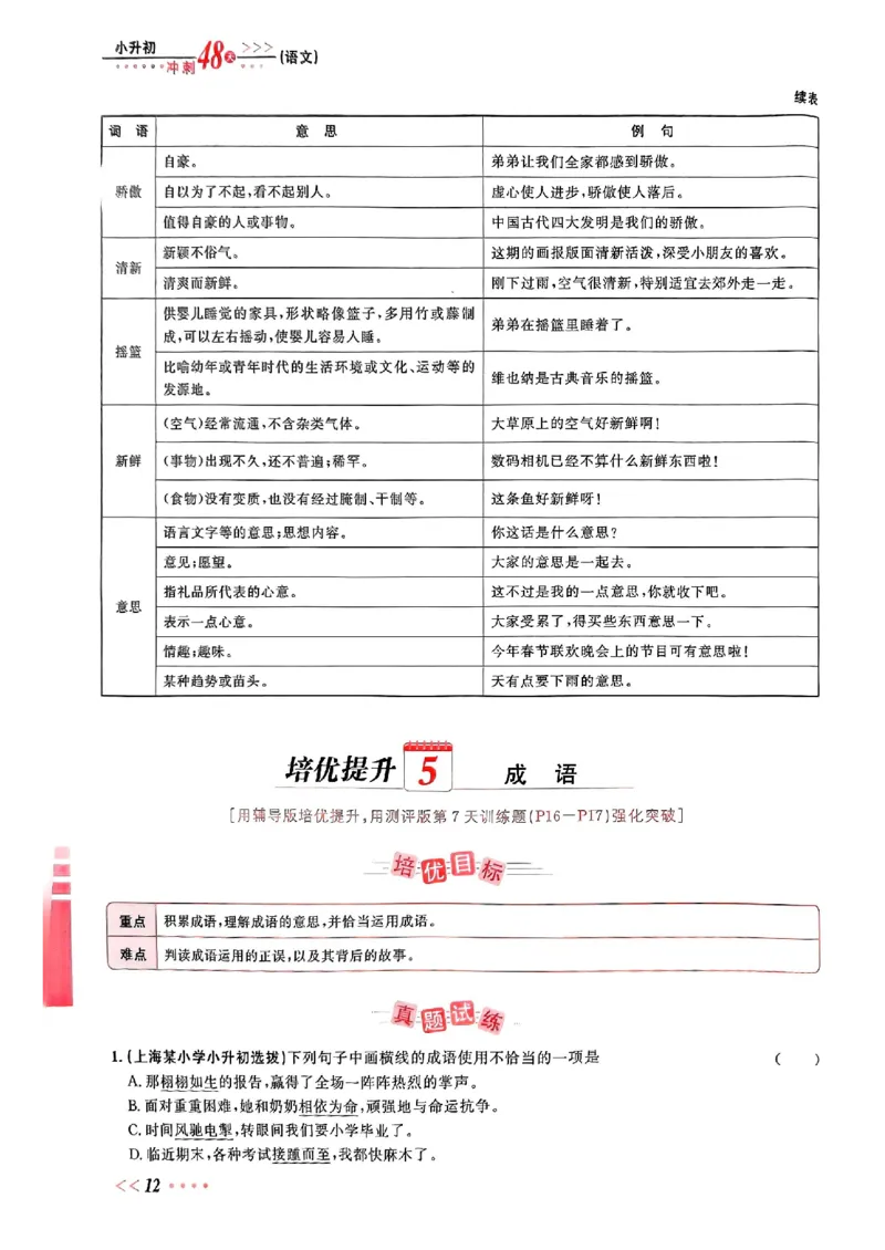 小升初语文《阳光同学冲刺48天》辅导版_小升初冲刺48天（语数英）_小升初语文《阳光同学冲刺48天》