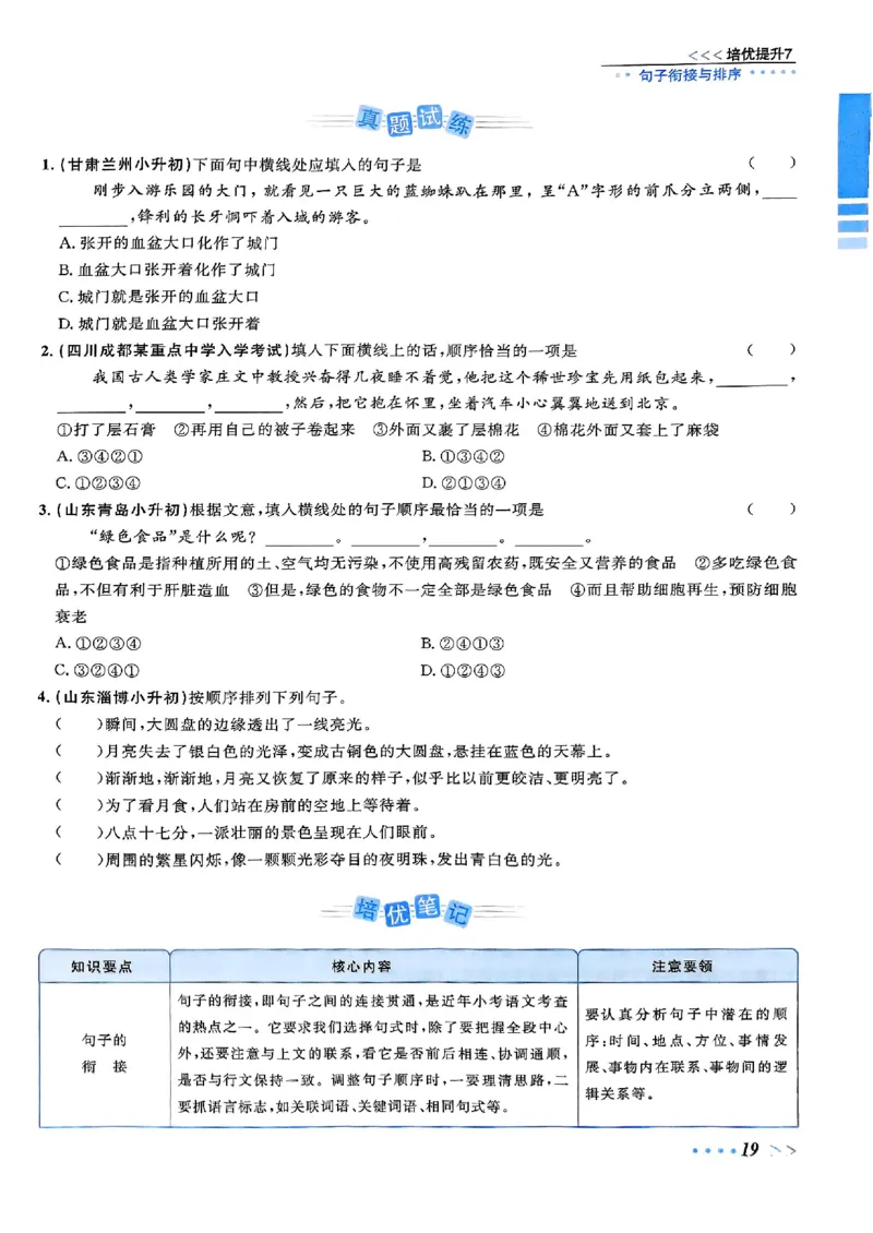 小升初语文《阳光同学冲刺48天》辅导版_小升初冲刺48天（语数英）_小升初语文《阳光同学冲刺48天》