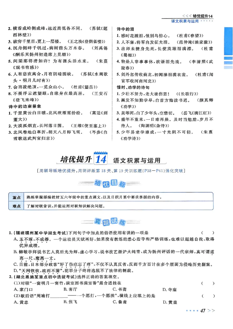 小升初语文《阳光同学冲刺48天》辅导版_小升初冲刺48天（语数英）_小升初语文《阳光同学冲刺48天》