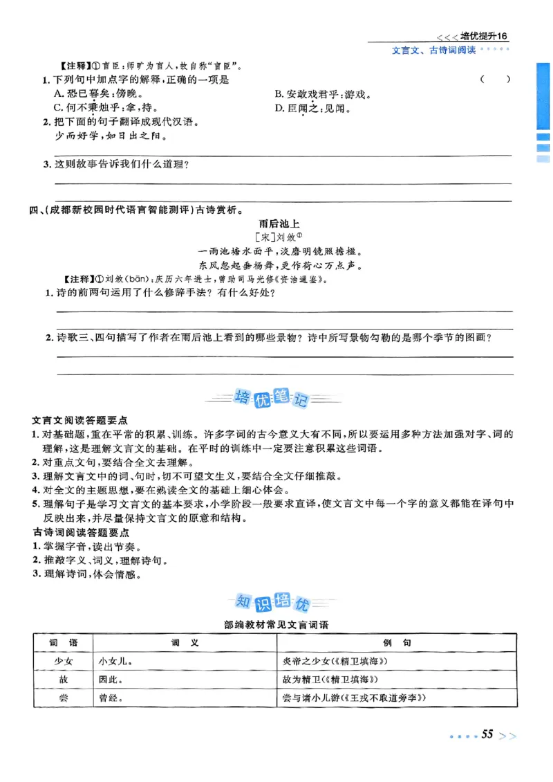 小升初语文《阳光同学冲刺48天》辅导版_小升初冲刺48天（语数英）_小升初语文《阳光同学冲刺48天》