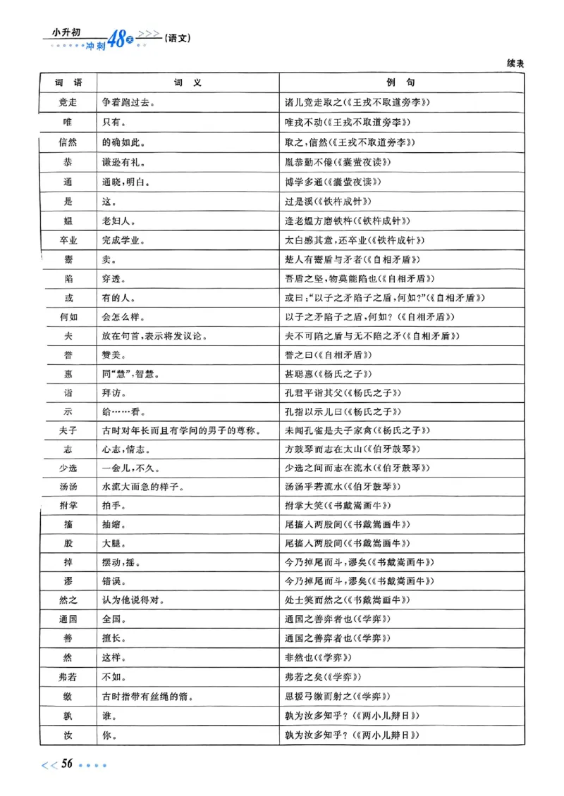 小升初语文《阳光同学冲刺48天》辅导版_小升初冲刺48天（语数英）_小升初语文《阳光同学冲刺48天》