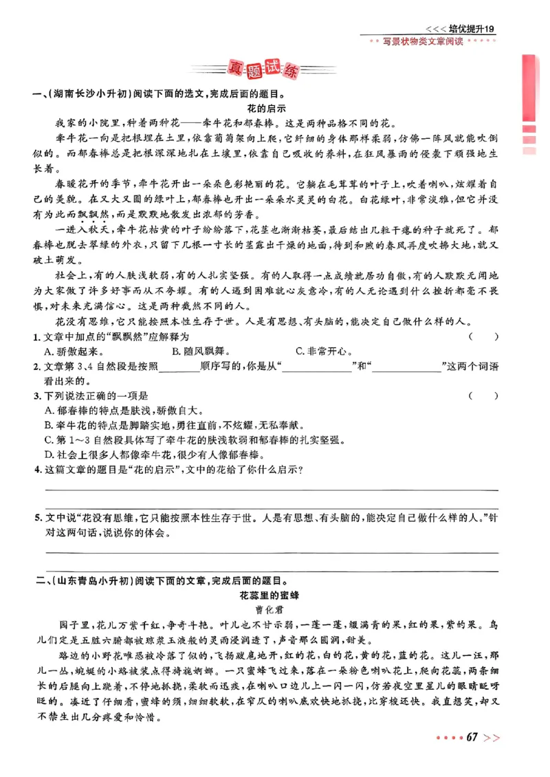 小升初语文《阳光同学冲刺48天》辅导版_小升初冲刺48天（语数英）_小升初语文《阳光同学冲刺48天》