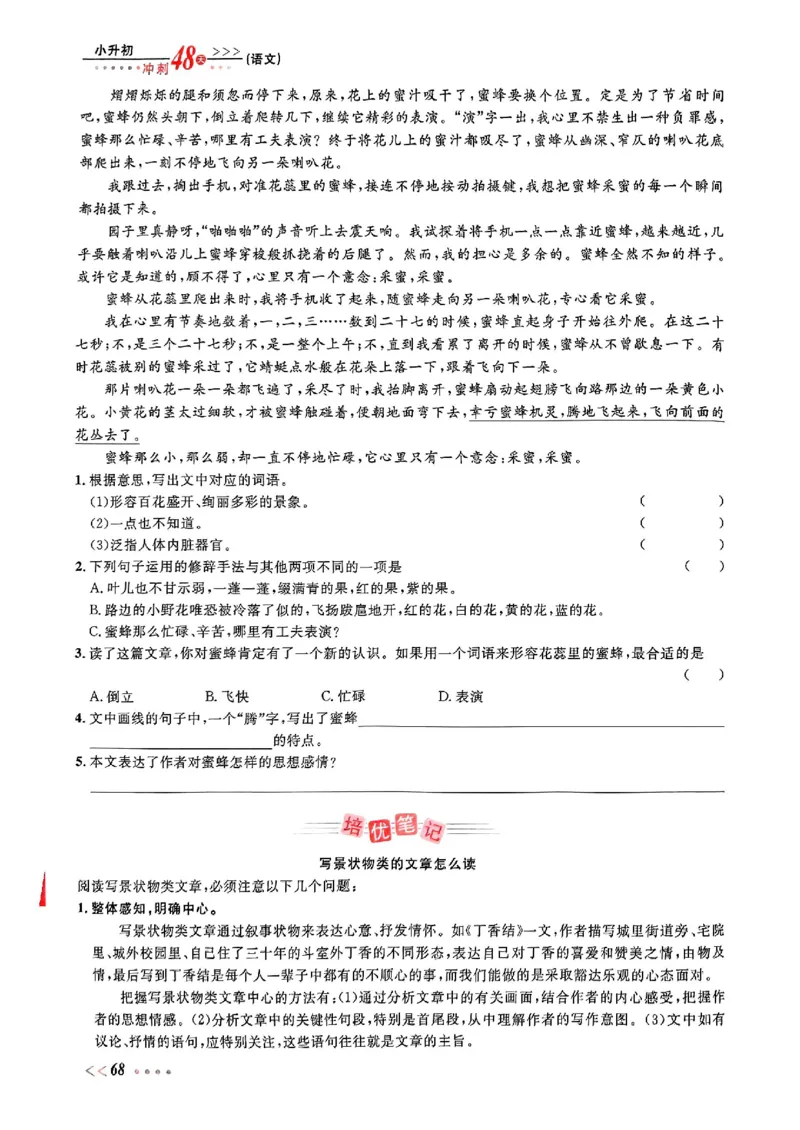 小升初语文《阳光同学冲刺48天》辅导版_小升初冲刺48天（语数英）_小升初语文《阳光同学冲刺48天》