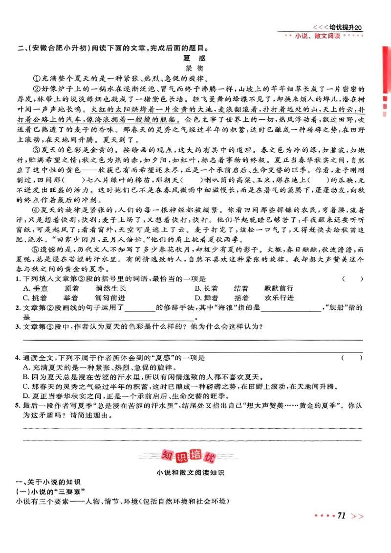 小升初语文《阳光同学冲刺48天》辅导版_小升初冲刺48天（语数英）_小升初语文《阳光同学冲刺48天》