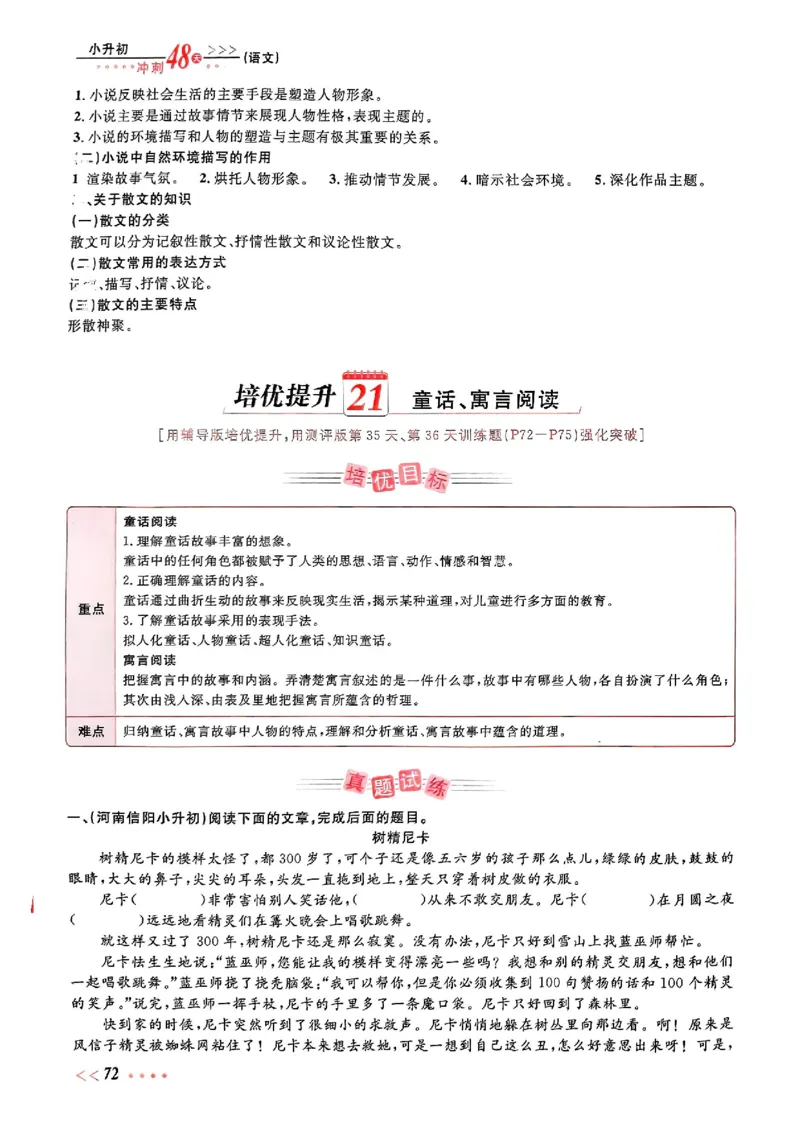 小升初语文《阳光同学冲刺48天》辅导版_小升初冲刺48天（语数英）_小升初语文《阳光同学冲刺48天》