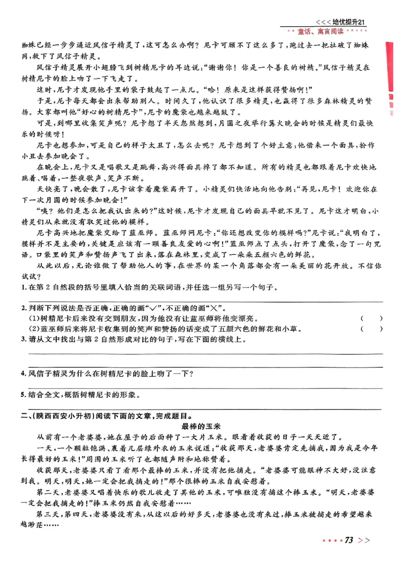 小升初语文《阳光同学冲刺48天》辅导版_小升初冲刺48天（语数英）_小升初语文《阳光同学冲刺48天》