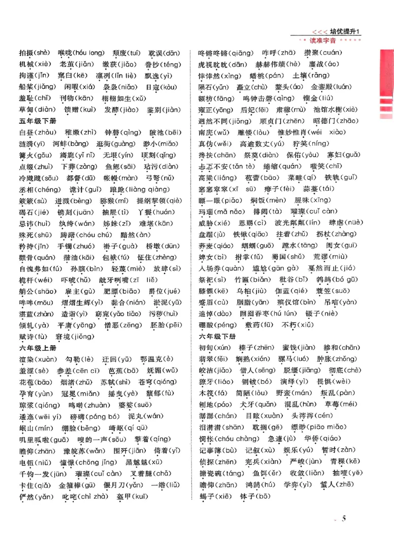 小升初语文《阳光同学冲刺48天》辅导版_小升初冲刺48天（语数英）_小升初语文《阳光同学冲刺48天》