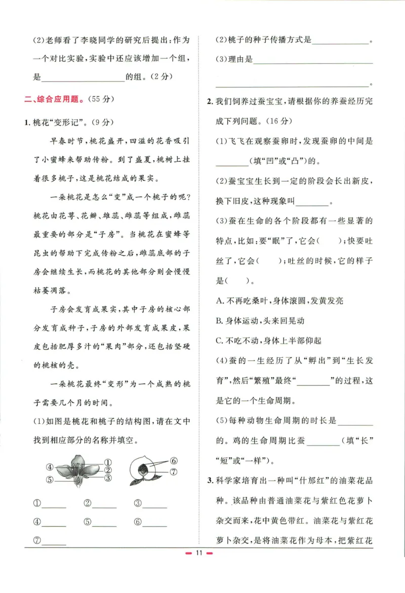 阳光同学小学毕业升学系统总复习活页专项训练科学_小升初活页专项训练（语数英科学）