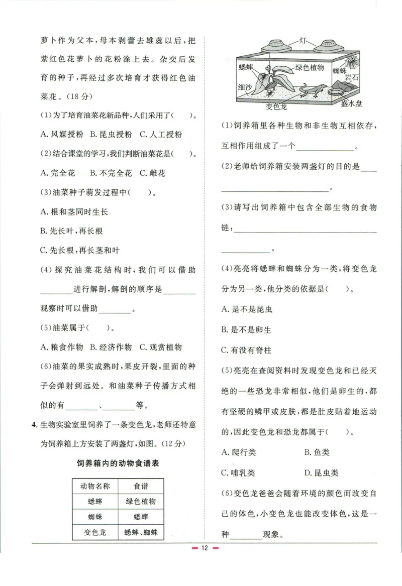 阳光同学小学毕业升学系统总复习活页专项训练科学_小升初活页专项训练（语数英科学）