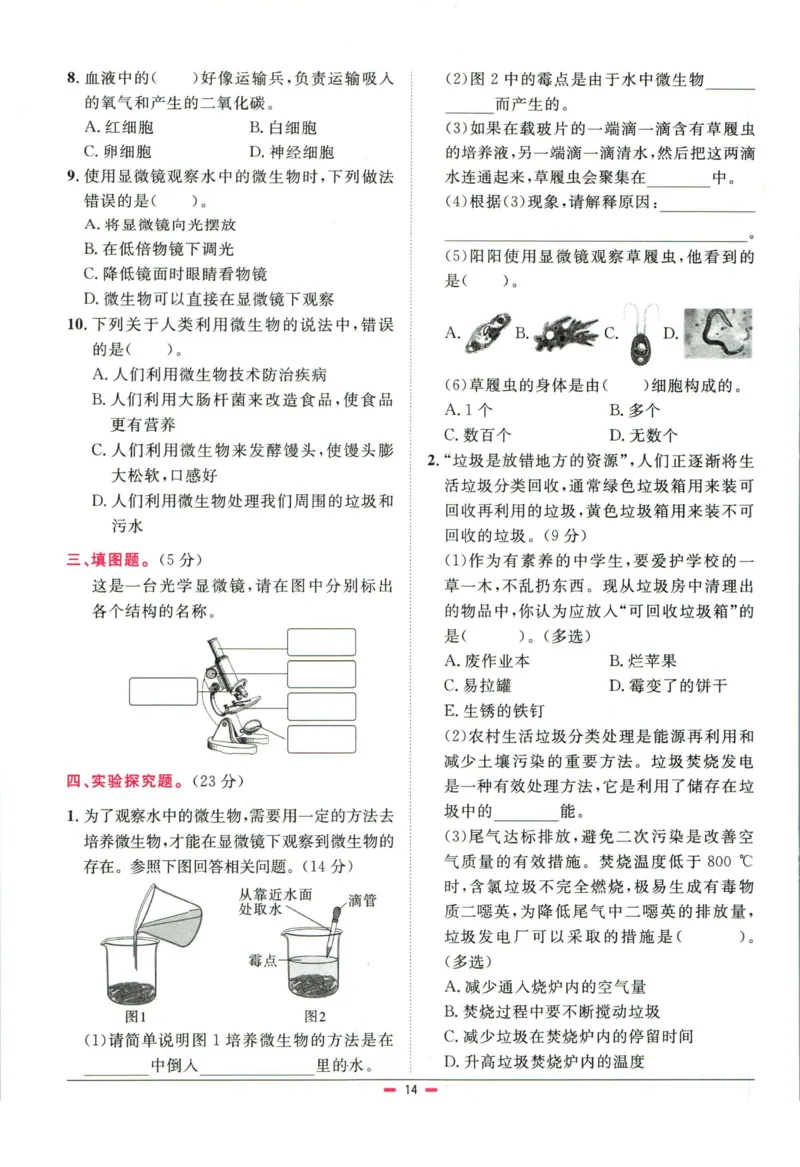阳光同学小学毕业升学系统总复习活页专项训练科学_小升初活页专项训练（语数英科学）