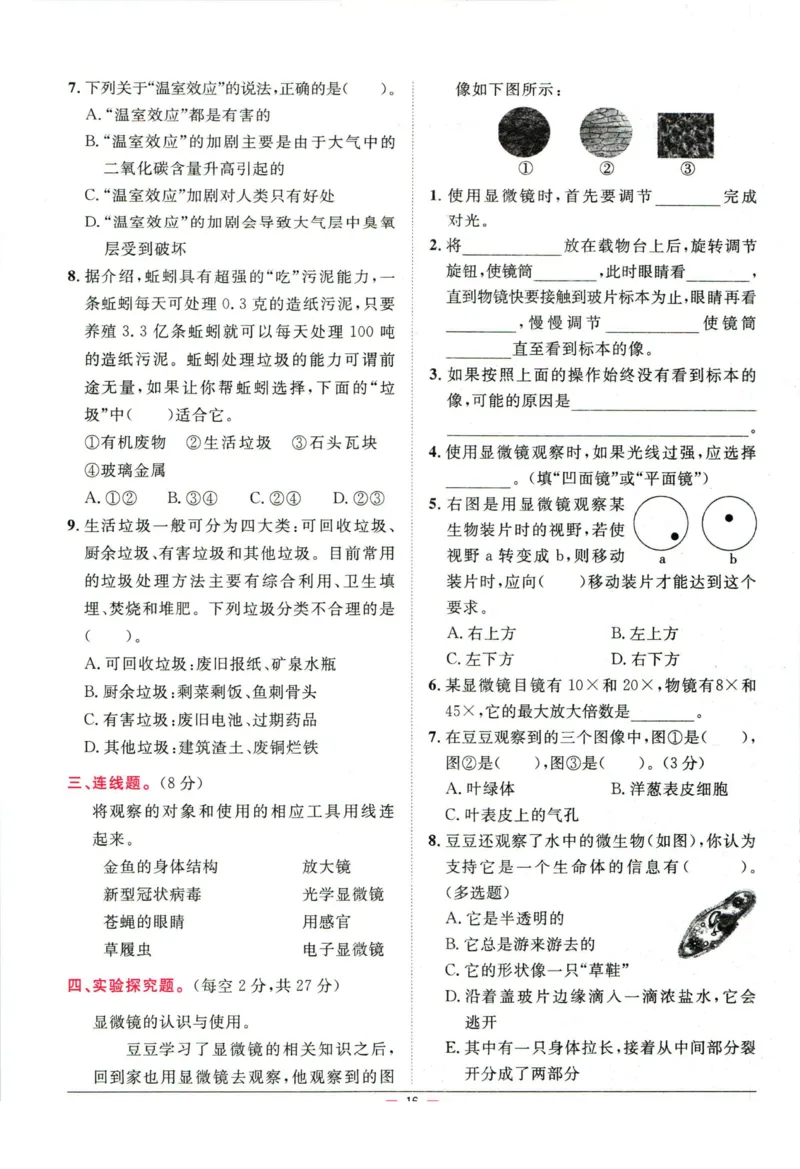 阳光同学小学毕业升学系统总复习活页专项训练科学_小升初活页专项训练（语数英科学）
