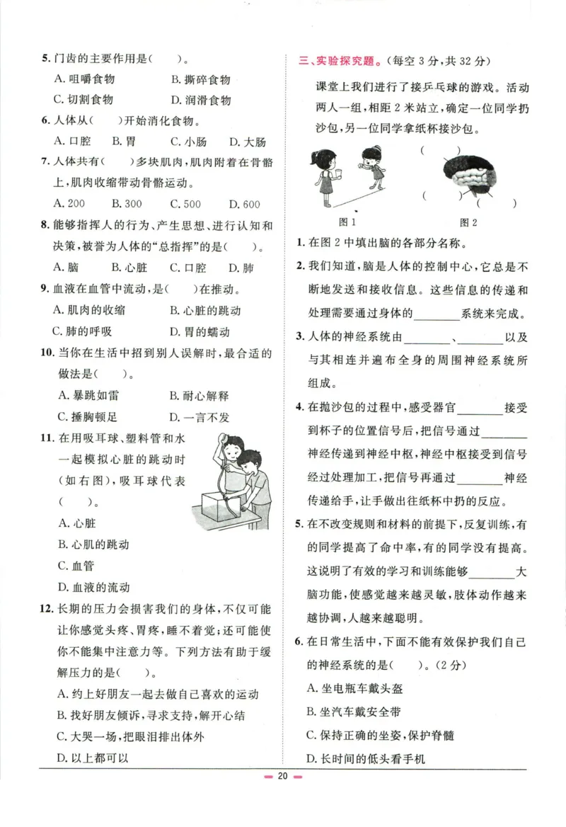 阳光同学小学毕业升学系统总复习活页专项训练科学_小升初活页专项训练（语数英科学）
