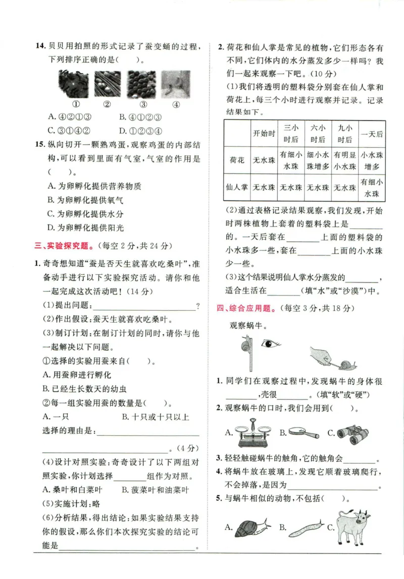 阳光同学小学毕业升学系统总复习活页专项训练科学_小升初活页专项训练（语数英科学）