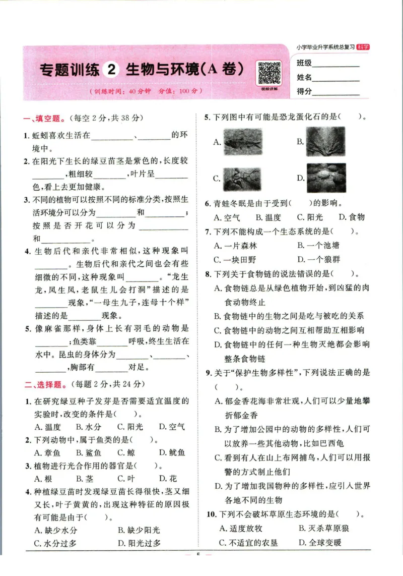阳光同学小学毕业升学系统总复习活页专项训练科学_小升初活页专项训练（语数英科学）
