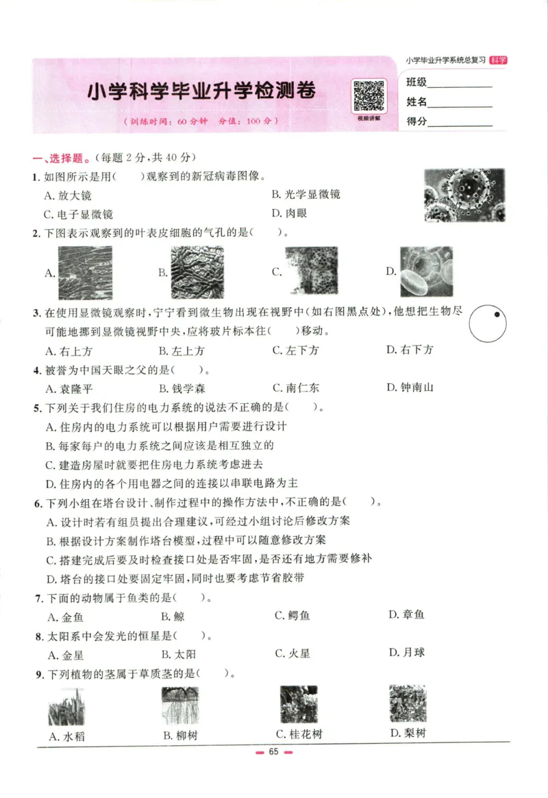 阳光同学小学毕业升学系统总复习活页专项训练科学_小升初活页专项训练（语数英科学）