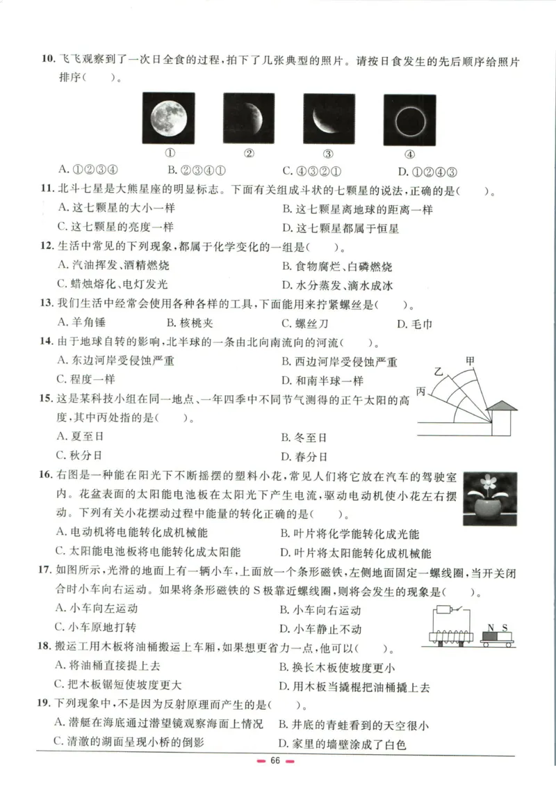 阳光同学小学毕业升学系统总复习活页专项训练科学_小升初活页专项训练（语数英科学）