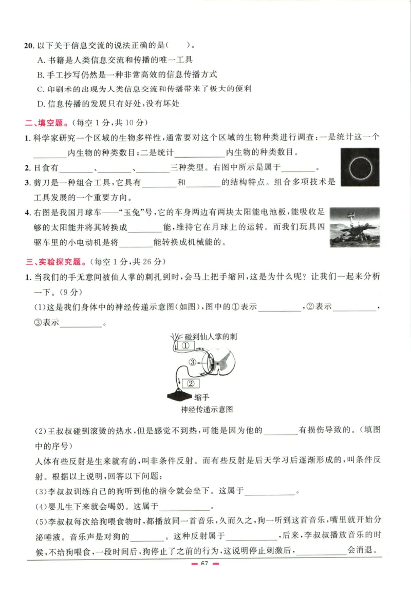 阳光同学小学毕业升学系统总复习活页专项训练科学_小升初活页专项训练（语数英科学）