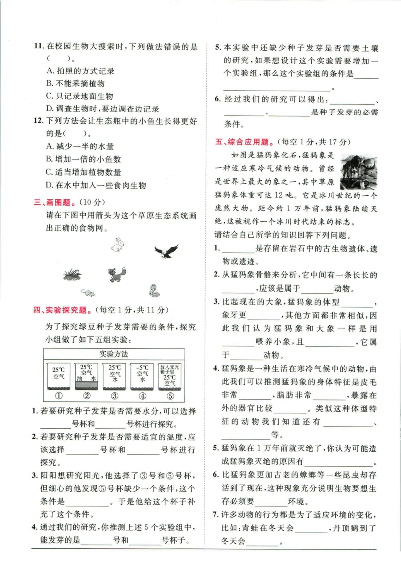 阳光同学小学毕业升学系统总复习活页专项训练科学_小升初活页专项训练（语数英科学）