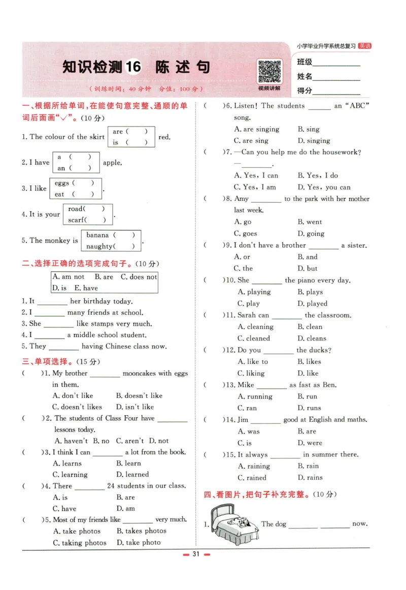 阳光同学小学毕业升学系统总复习活页专项训练英语_小升初活页专项训练（语数英科学）