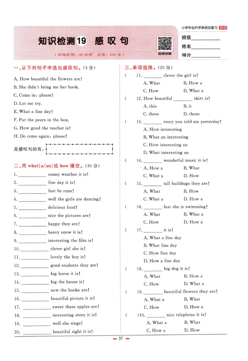 阳光同学小学毕业升学系统总复习活页专项训练英语_小升初活页专项训练（语数英科学）