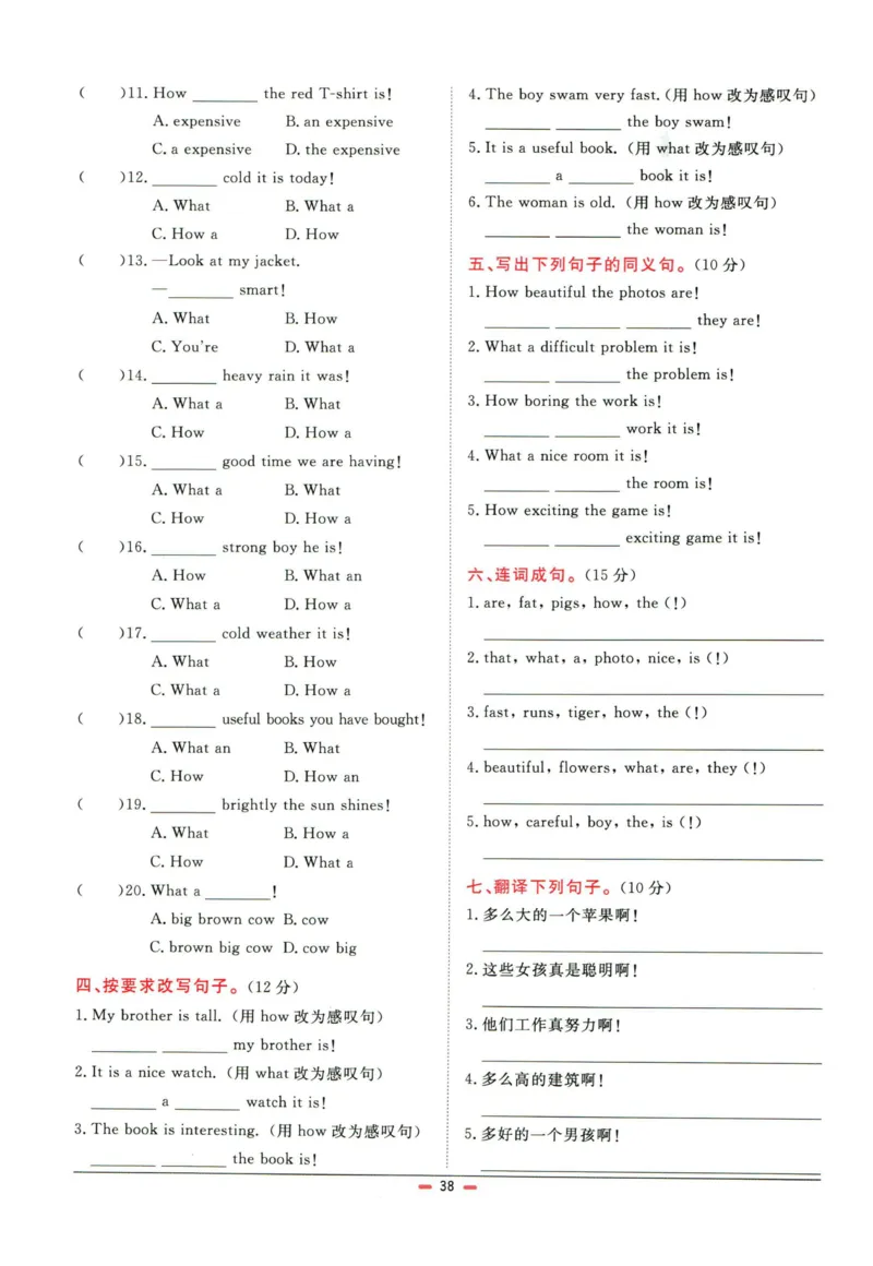 阳光同学小学毕业升学系统总复习活页专项训练英语_小升初活页专项训练（语数英科学）