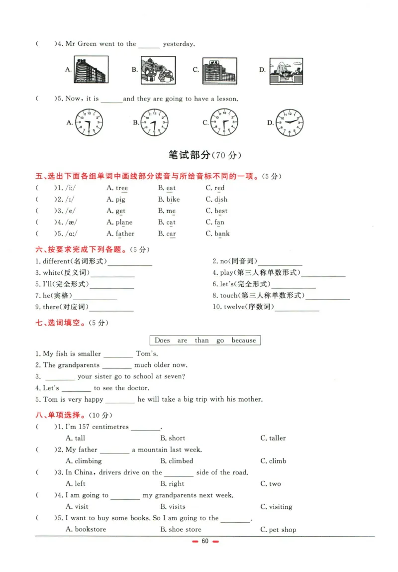 阳光同学小学毕业升学系统总复习活页专项训练英语_小升初活页专项训练（语数英科学）