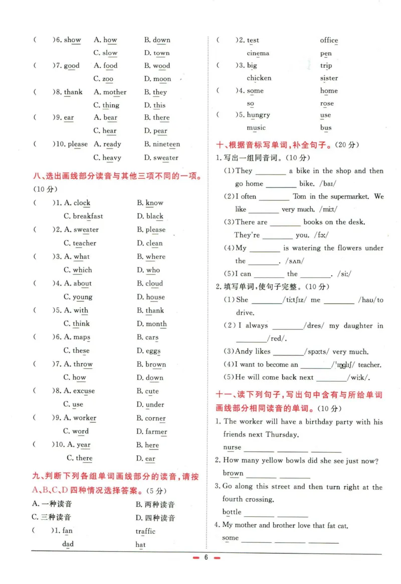 阳光同学小学毕业升学系统总复习活页专项训练英语_小升初活页专项训练（语数英科学）