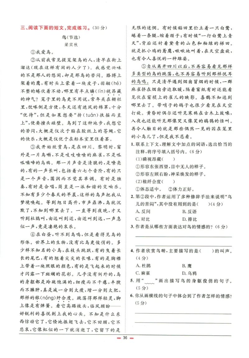 阳光同学小学毕业升学系统总复习活页专项训练语文_小升初活页专项训练（语数英科学）