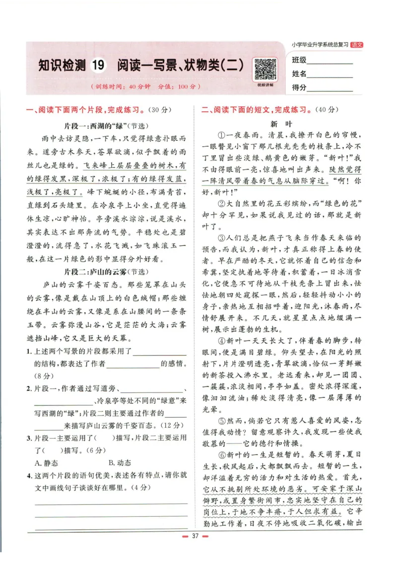 阳光同学小学毕业升学系统总复习活页专项训练语文_小升初活页专项训练（语数英科学）