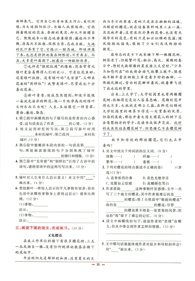 阳光同学小学毕业升学系统总复习活页专项训练语文_小升初活页专项训练（语数英科学）