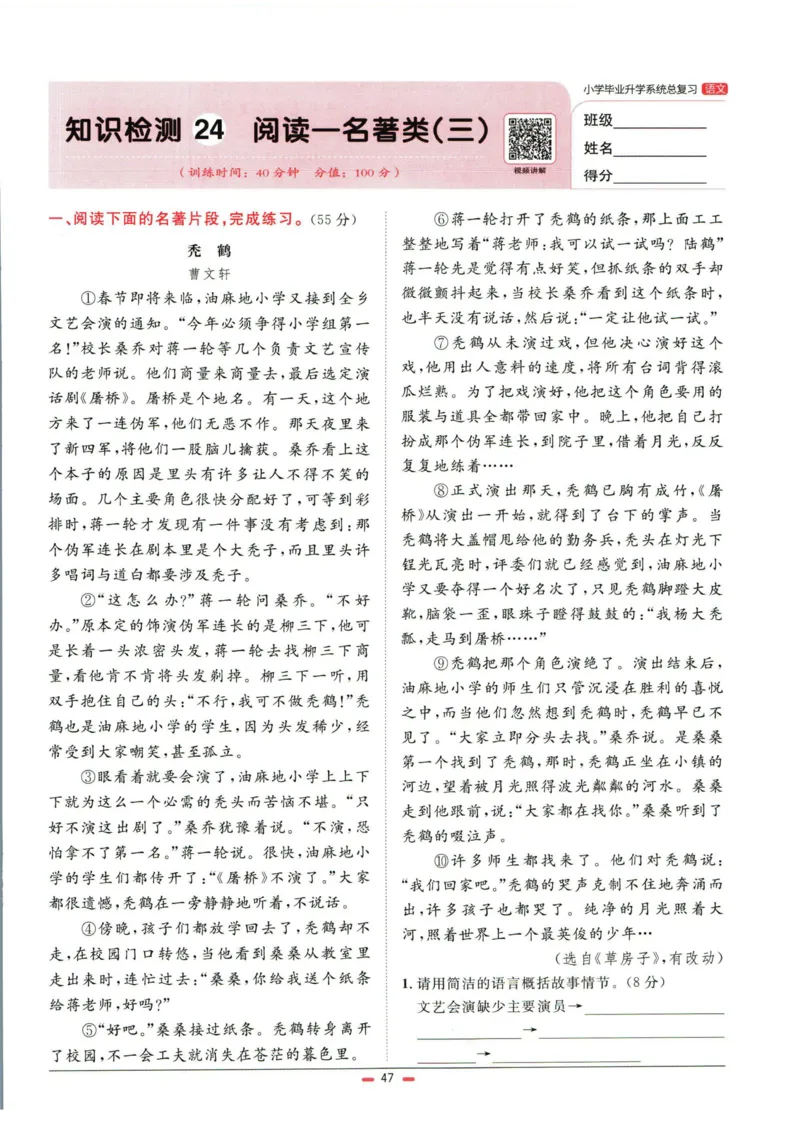 阳光同学小学毕业升学系统总复习活页专项训练语文_小升初活页专项训练（语数英科学）