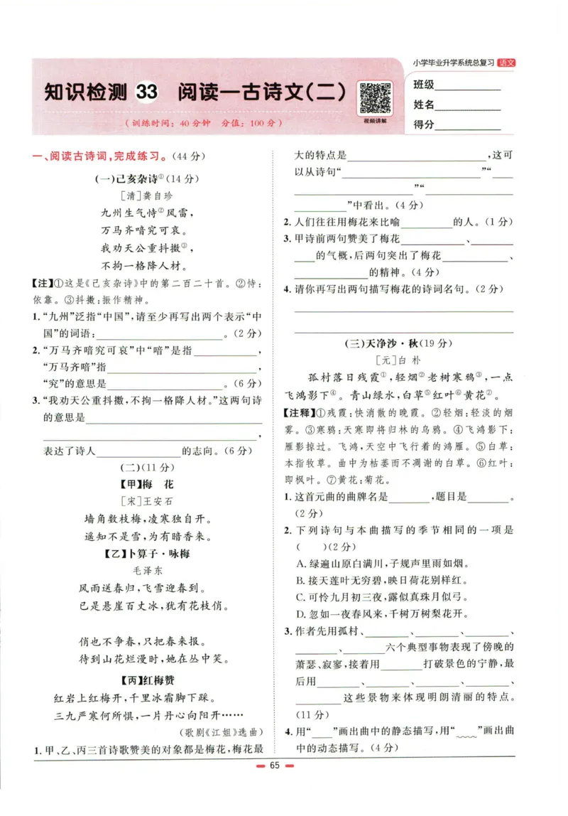 阳光同学小学毕业升学系统总复习活页专项训练语文_小升初活页专项训练（语数英科学）