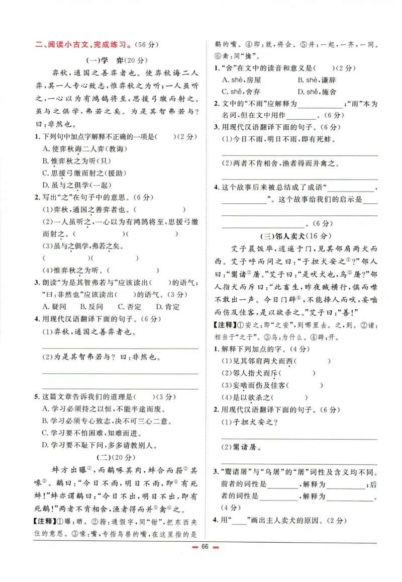 阳光同学小学毕业升学系统总复习活页专项训练语文_小升初活页专项训练（语数英科学）