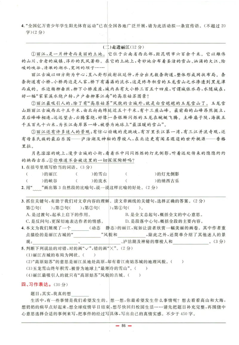 阳光同学小学毕业升学系统总复习活页专项训练语文_小升初活页专项训练（语数英科学）