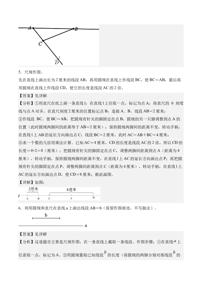 专题01：线段、射线和直线（期中专项训练）（苏教版&middot;新教材）（教师版）(1)_三年级数学下册（苏教版）_期末总复习-K159_期中总复习_2026版